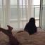 pleasure-